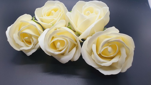 Scented Blooming Roses For Decoration