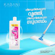 Kabani Finol Disinfectant Floor Cleaner Buy 500 ml Get 500 ml Free