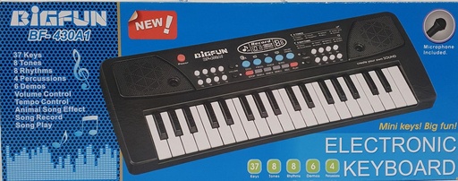 [IX000136] BF430A1 Big Fun Electronic Keyboard with Mic