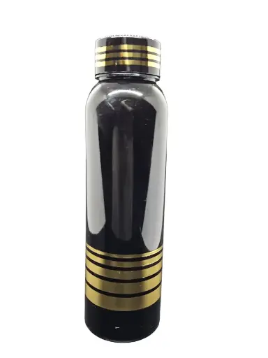 [IX2401020] Golden Line Water Bottle 