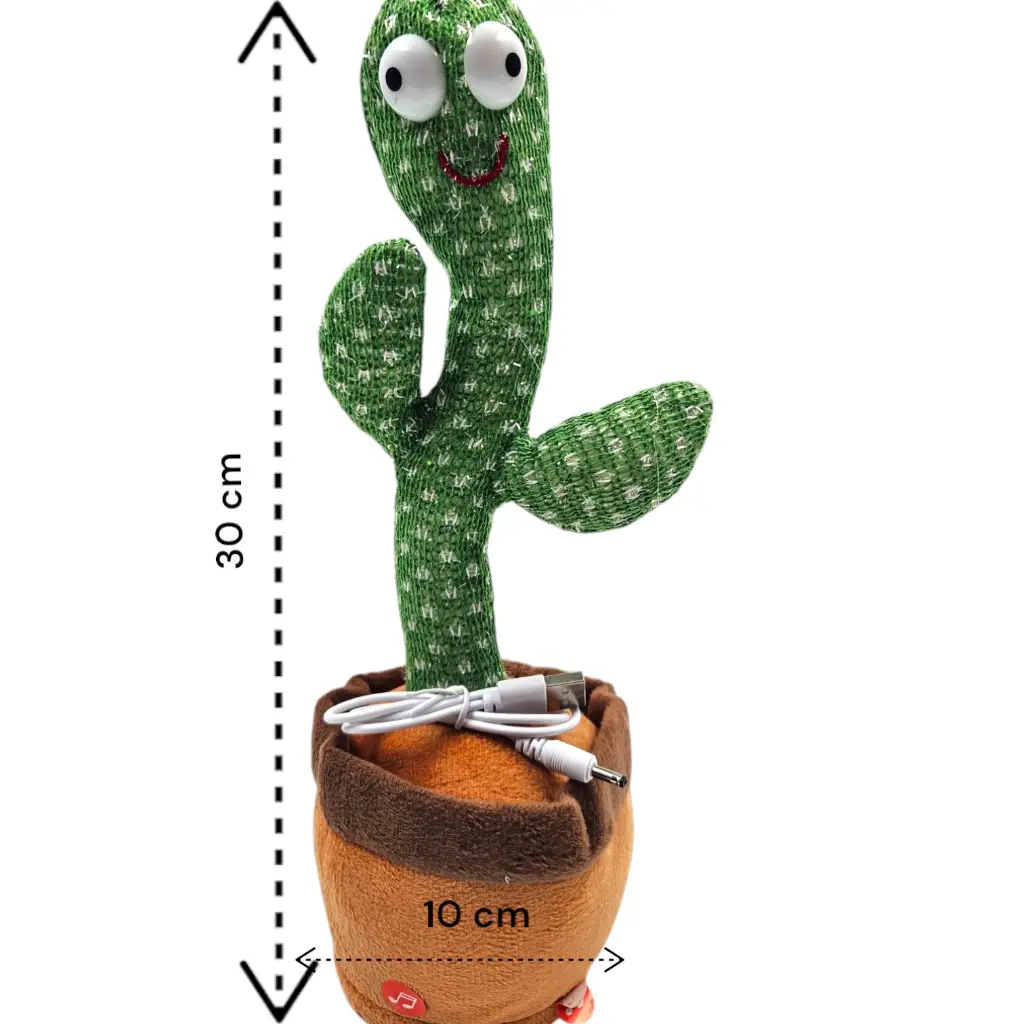 20250126_141832-Photoroom (1).webp