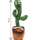 20250126_141832-Photoroom (1).webp