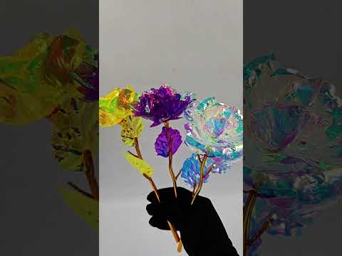 youtube - [Video]