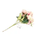DJI_20250220_124223_1159-Photoroom.webp