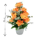 DJI_20250225_121104_1376-Photoroom (1).webp