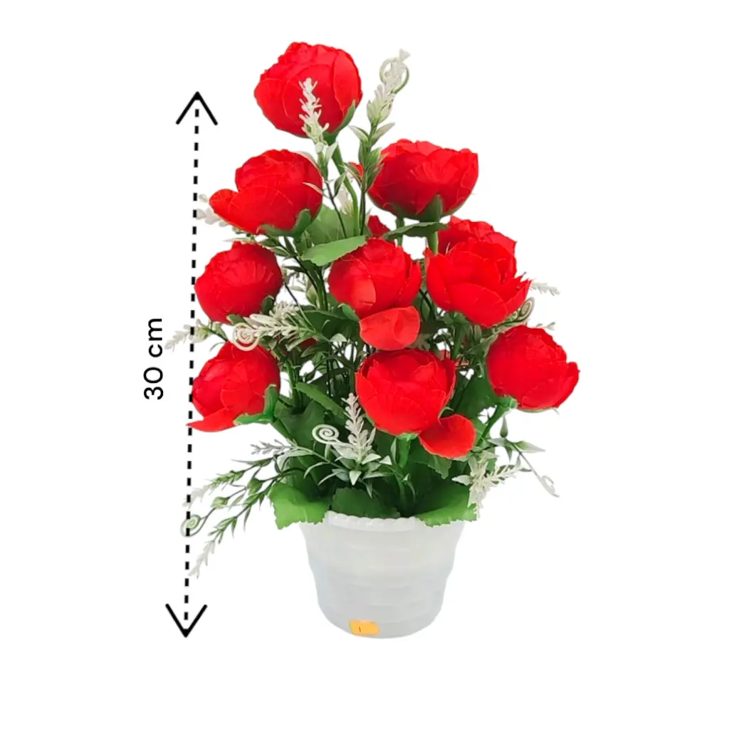 DJI_20250225_121227_1382-Photoroom (1).webp