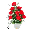 DJI_20250225_121227_1382-Photoroom (1).webp