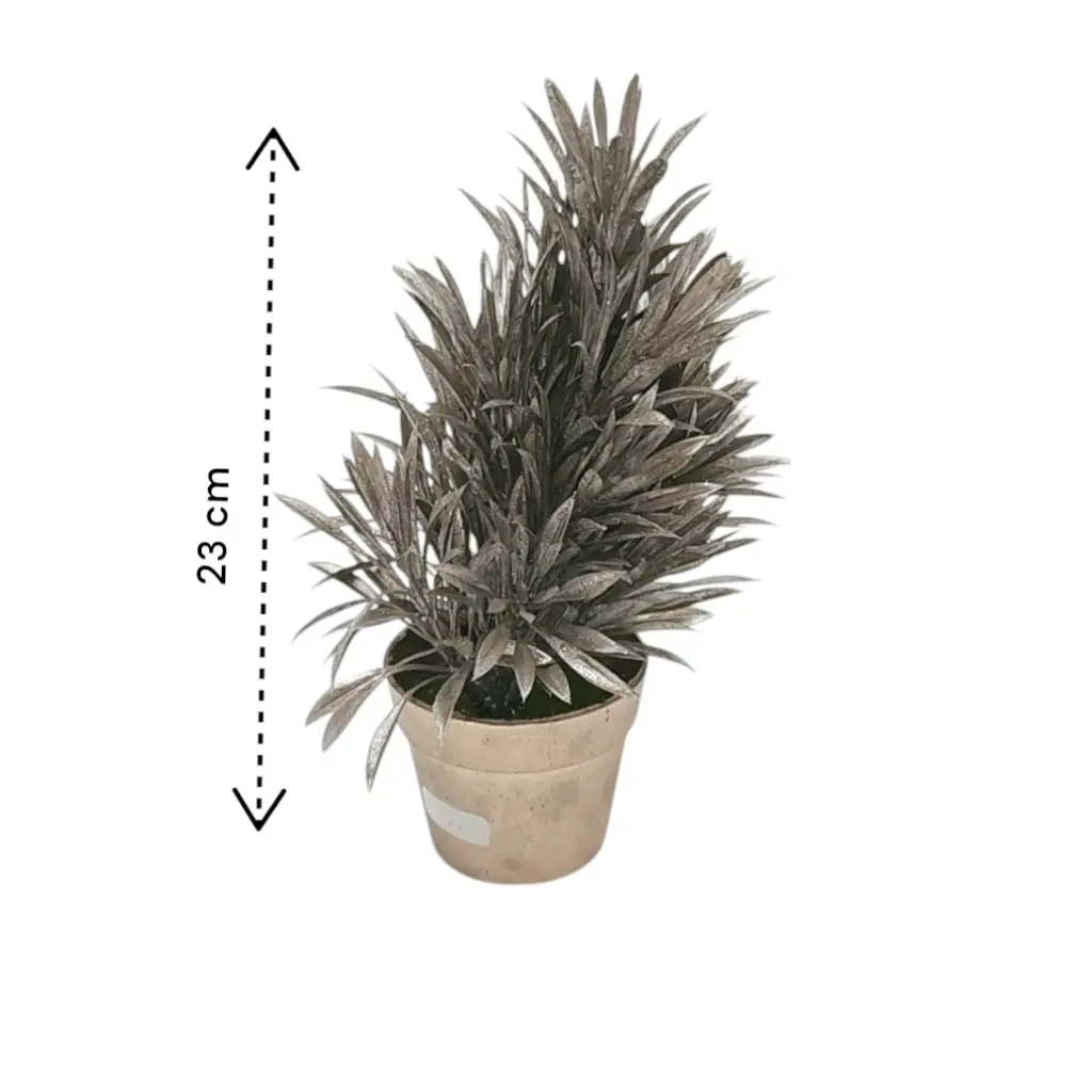 DJI_20250225_121133_1378-Photoroom (1).webp