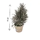 DJI_20250225_121133_1378-Photoroom (1).webp