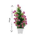 DJI_20250225_121026_1372-Photoroom (1).webp