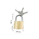 DJI_20250228_112719_1450-Photoroom (1).webp