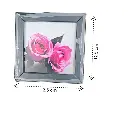 DJI_20250317_130431_1966-Photoroom (1).webp