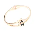 DJI_20250418_145716_3618-Photoroom (1).webp