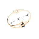 DJI_20250418_145716_3618-Photoroom (1)-Photoroom.webp