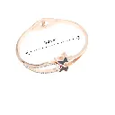 DJI_20250418_145840_3637-Photoroom (1).webp