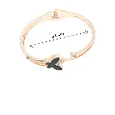 DJI_20250419_113321_3657-Photoroom (1).webp