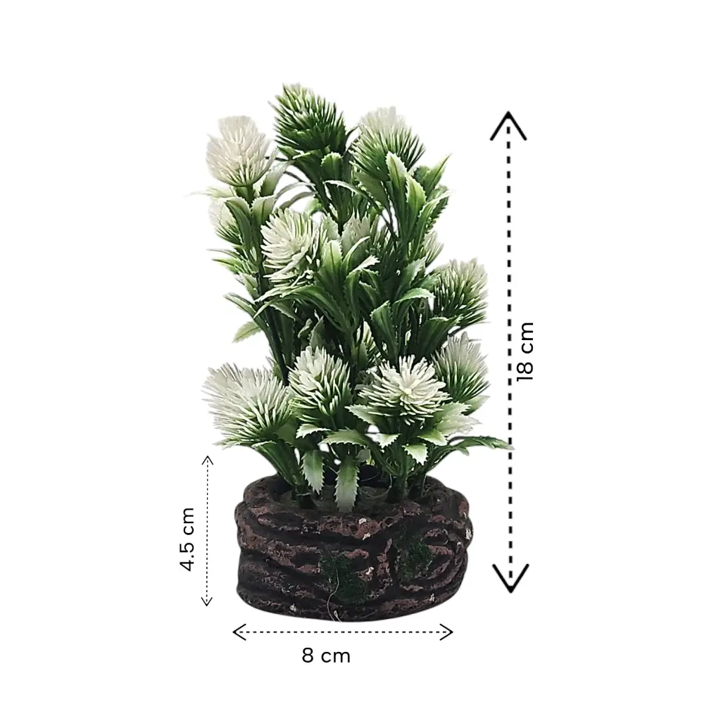 white-Photoroom (2).webp