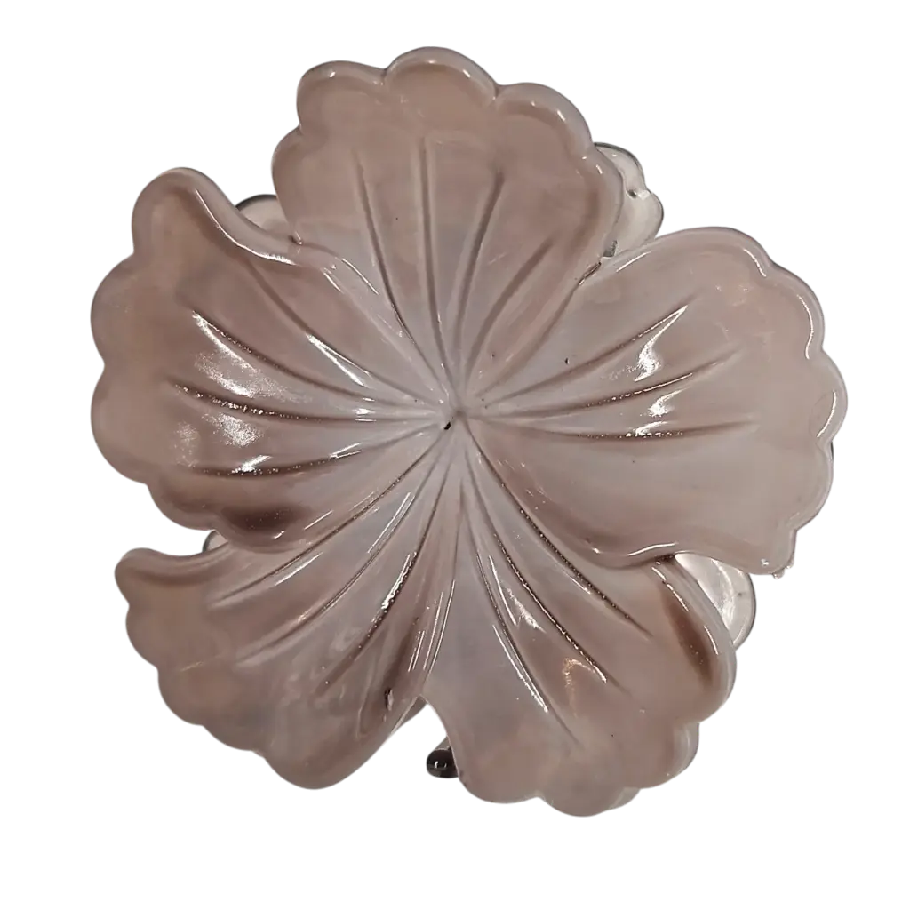 transparent-Photoroom (28).webp