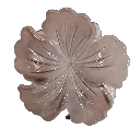 transparent-Photoroom (28).webp