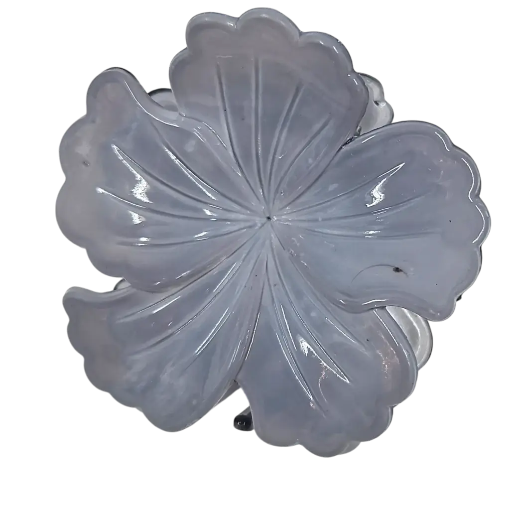 transparent-Photoroom (27).webp