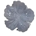 transparent-Photoroom (27).webp