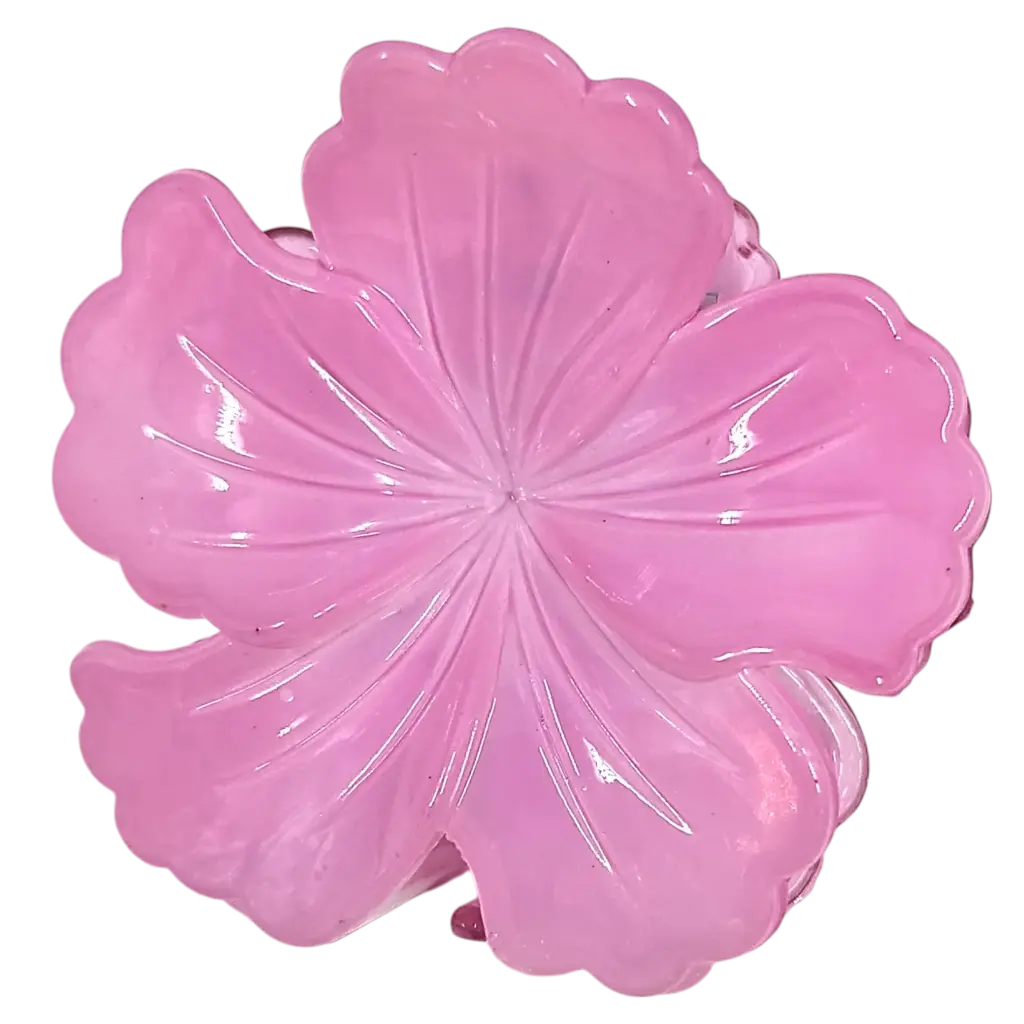 transparent-Photoroom (26).webp