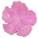 transparent-Photoroom (26).webp