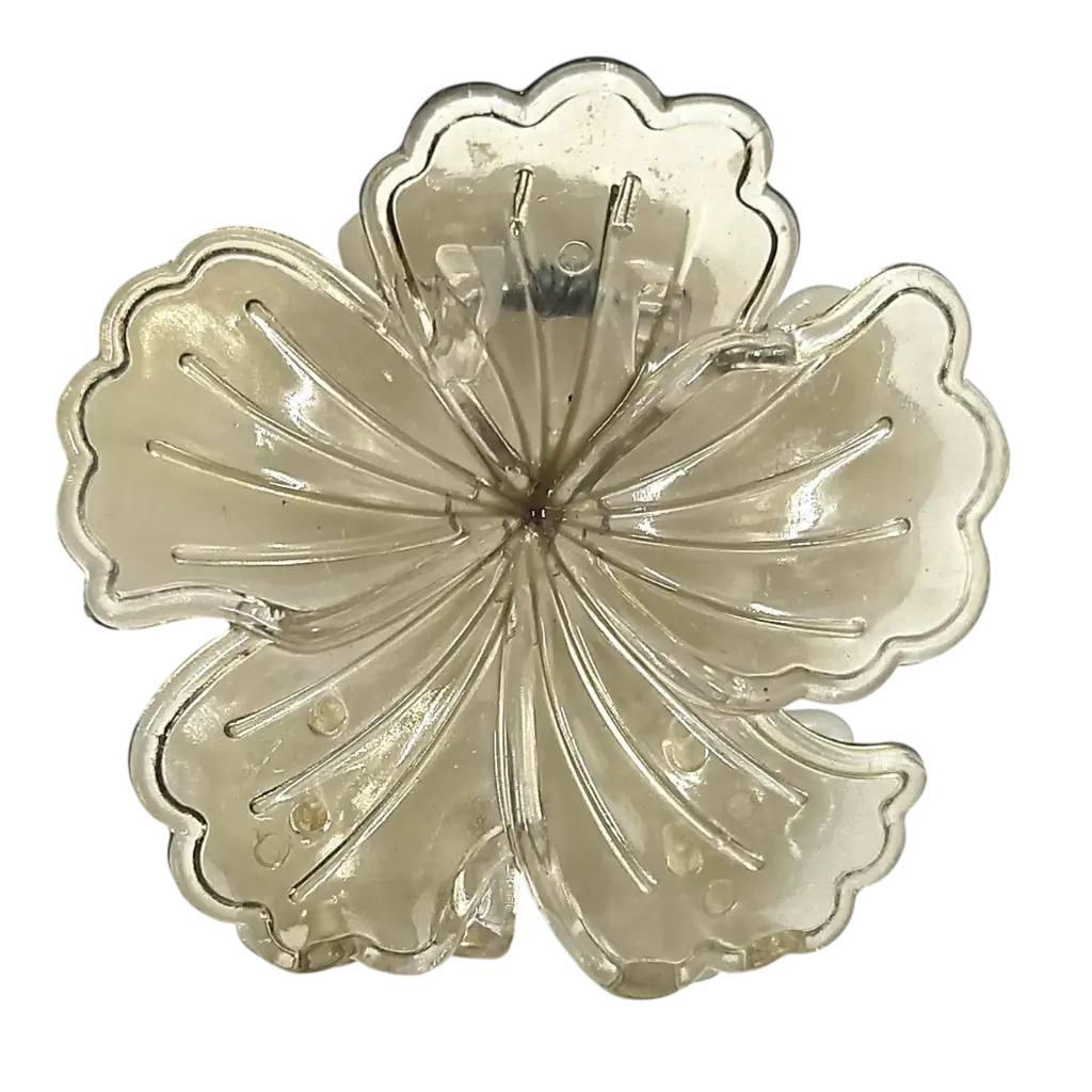 transparent-Photoroom (24).webp