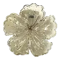 transparent-Photoroom (24).webp