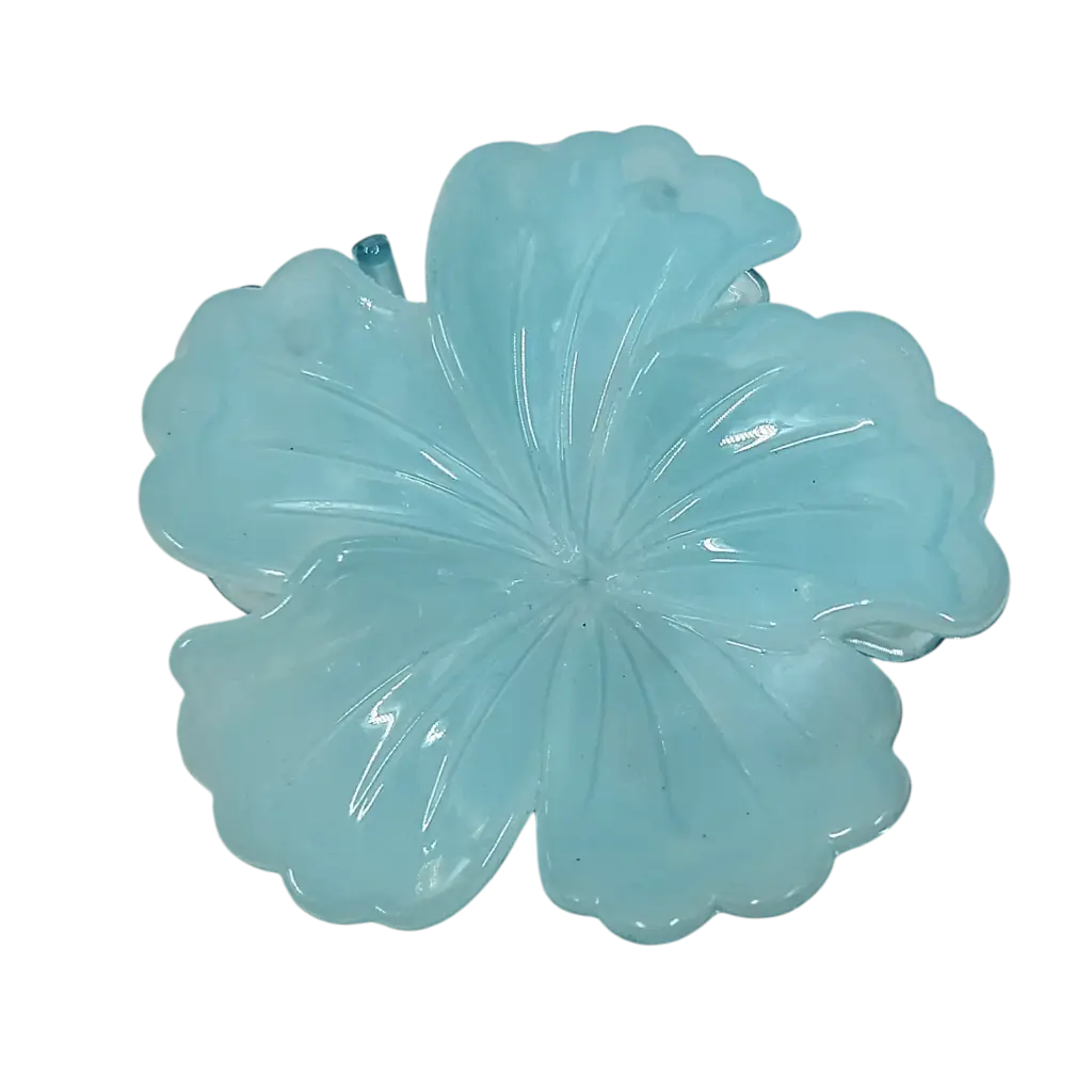 transparent-Photoroom (22).webp