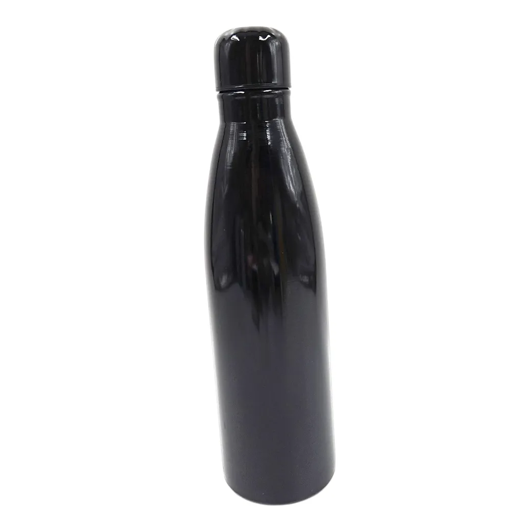 WT 08 Stainless Steel Color Water Bottle 750ml
