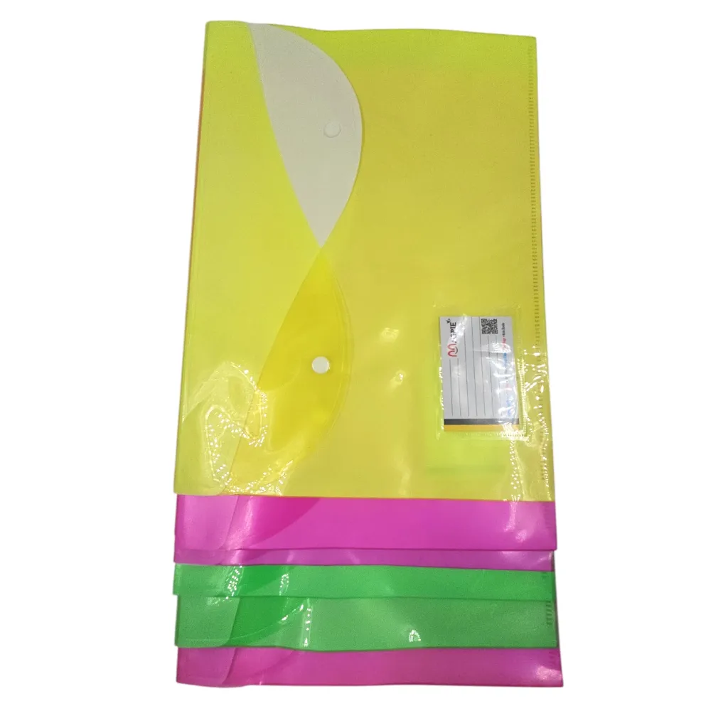 Magpie Double Pocket Clear School File With Name Slip