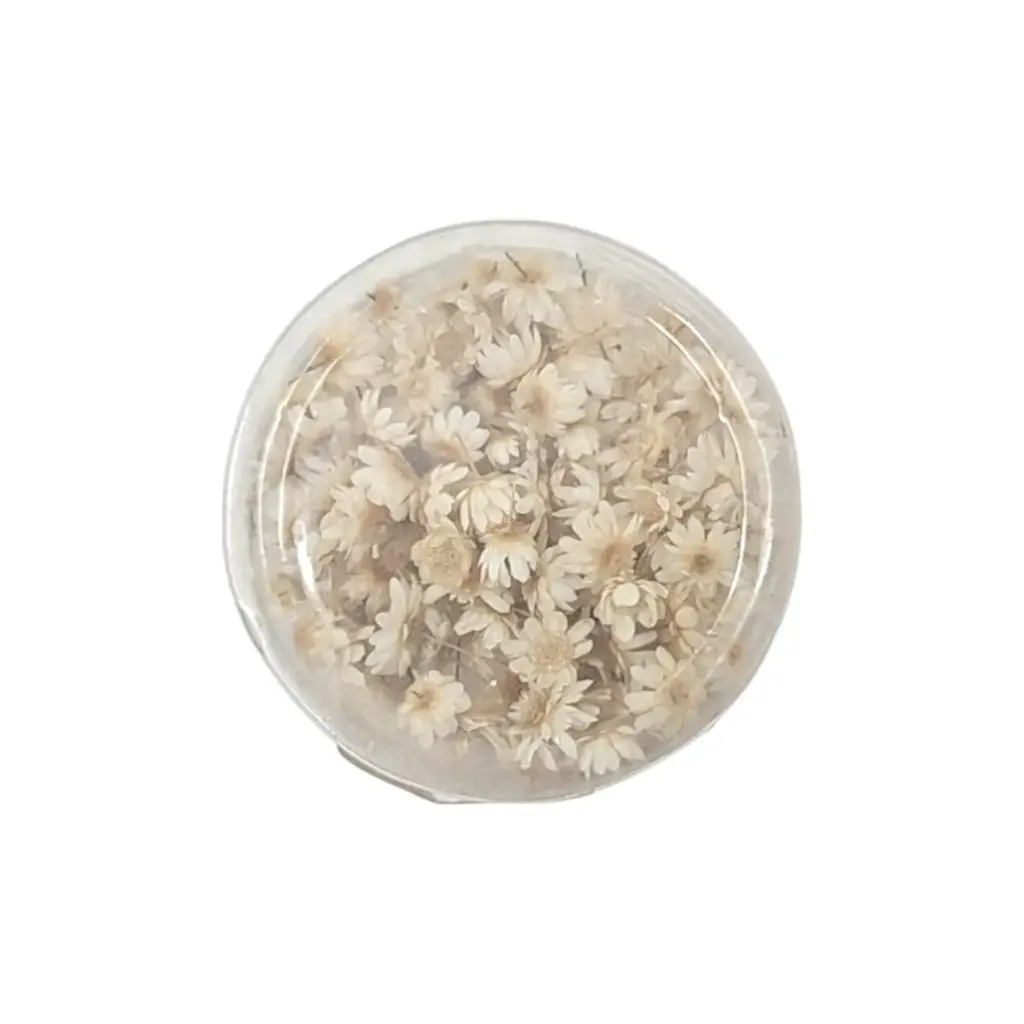 Dry Flower Round Box 