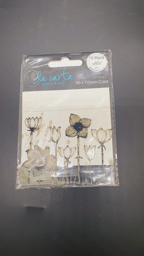 [IX2404510] Premium 90 X 110 mm 260 gsm Pre Creased Cards