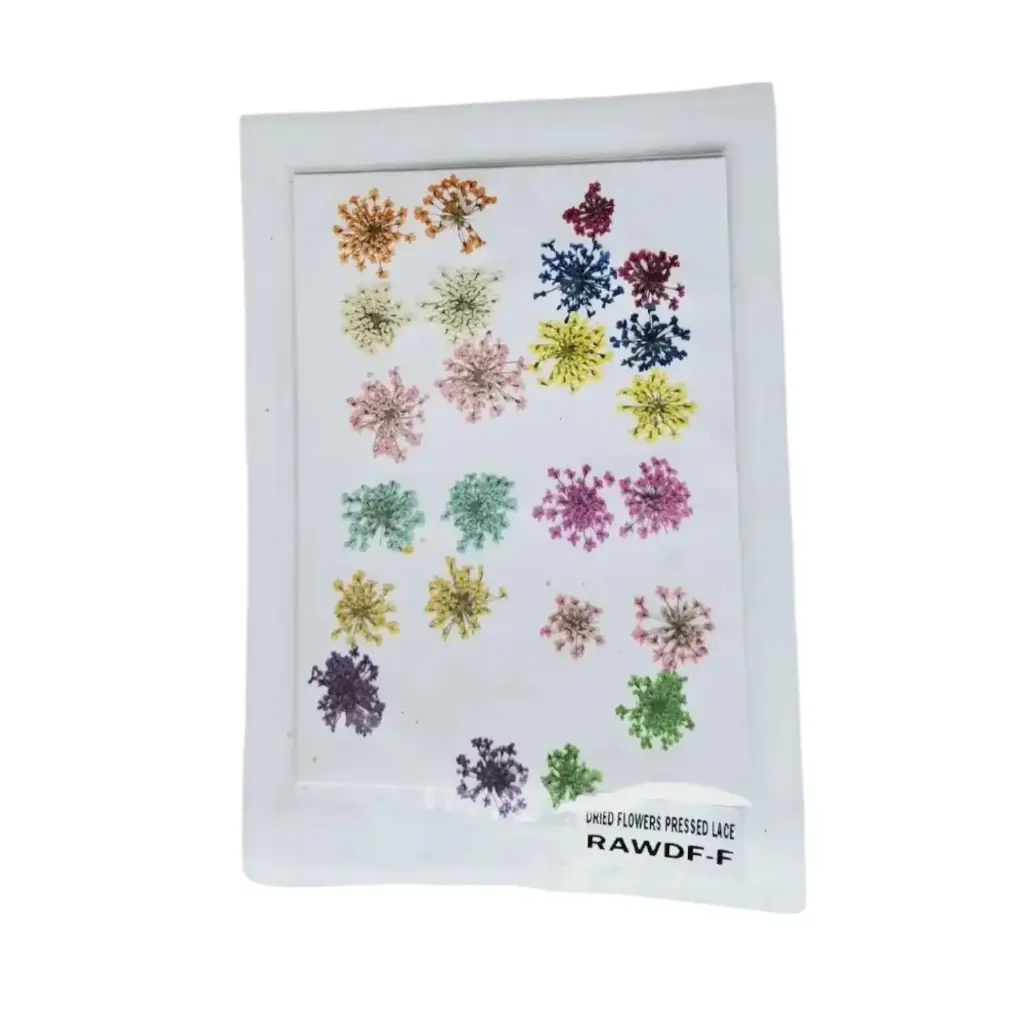 Dried flowers Pressed Lace