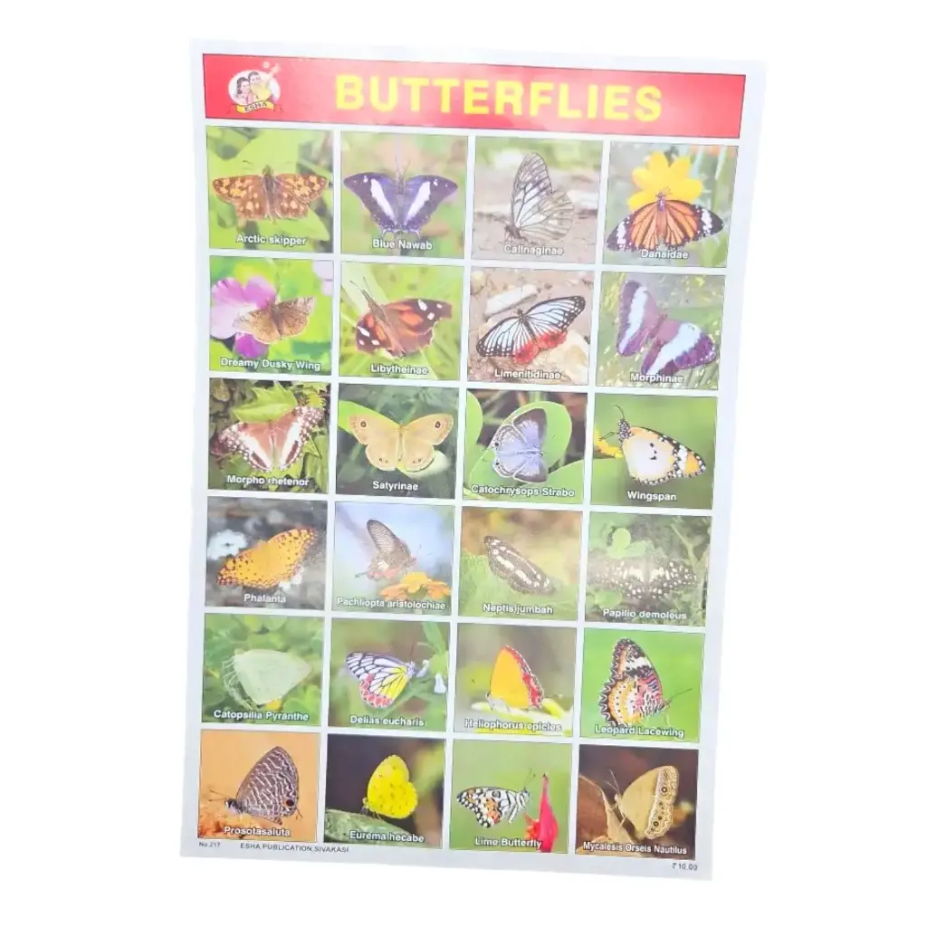 [IX2401447] Sticky Photo Chart (Butterflies)