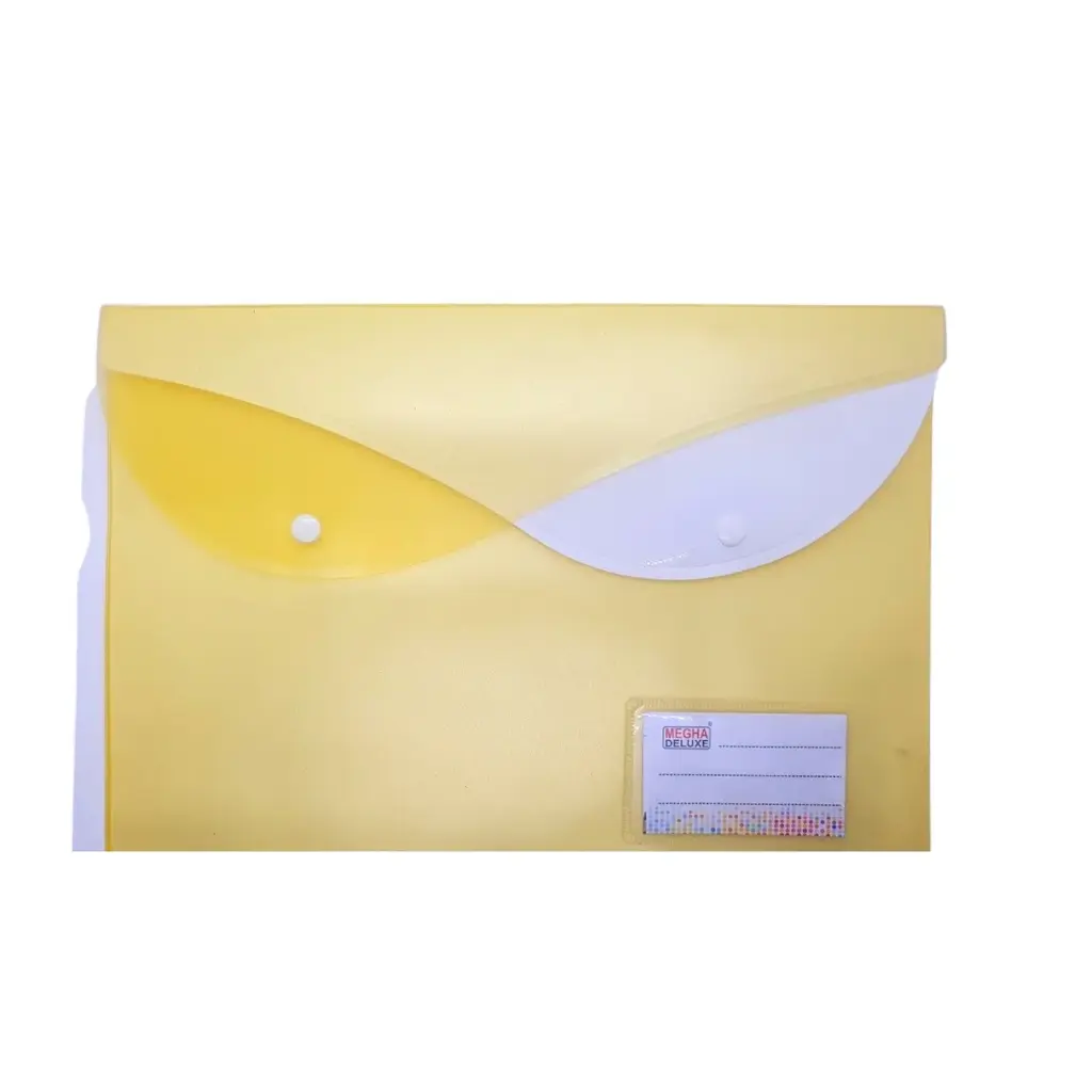 [IX2401696] School File Double Layer Clear Storage Bag (With Name Slip Pocket)