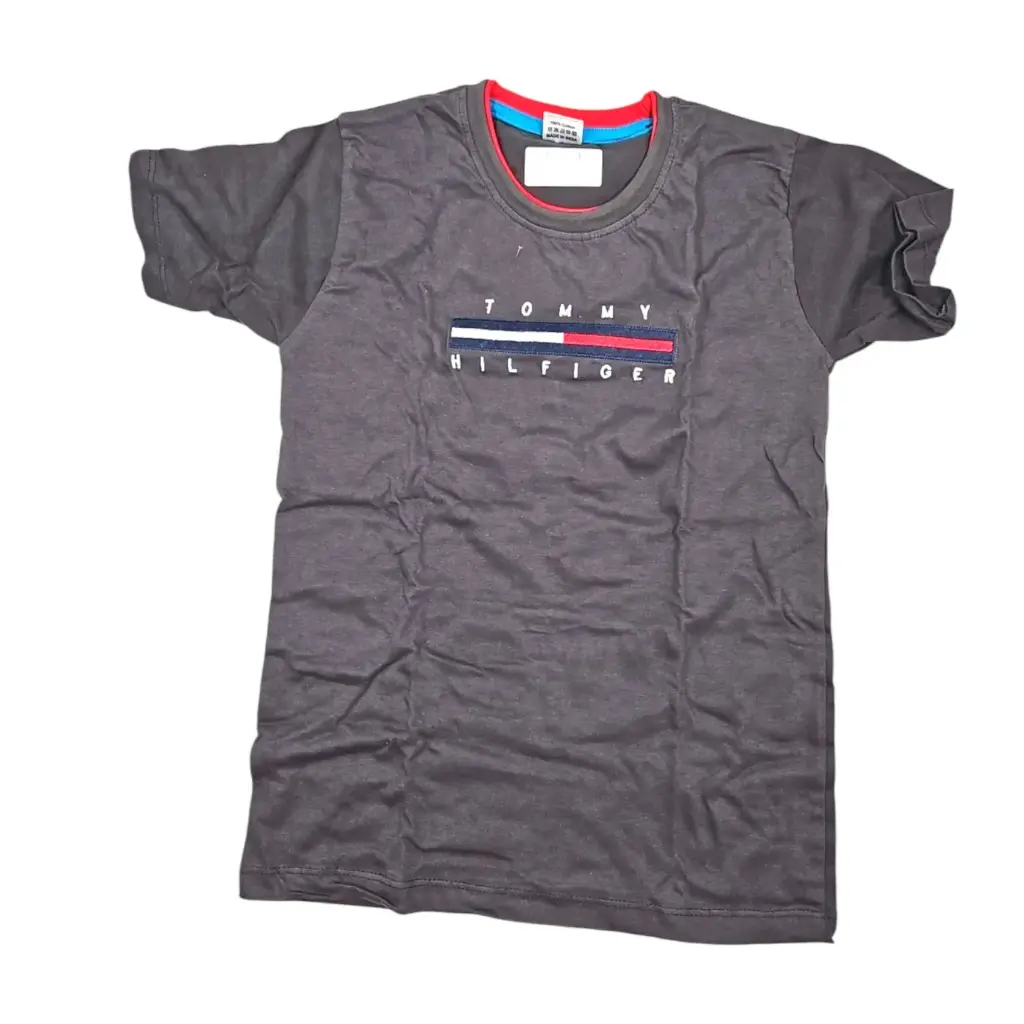Big Zone Tommy Hilfiger Boys T Shirt Size 8
