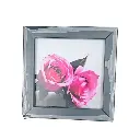 4 X 4 Wall Photo Mini Frame With Photo 