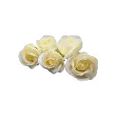 Scented Blooming Rose Flower For Decoration 