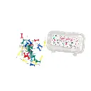 Luxury Color Push Pin Pack Of 35