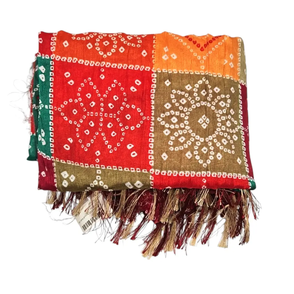 [IX2501112] Rangoli Multi Color Dupatta