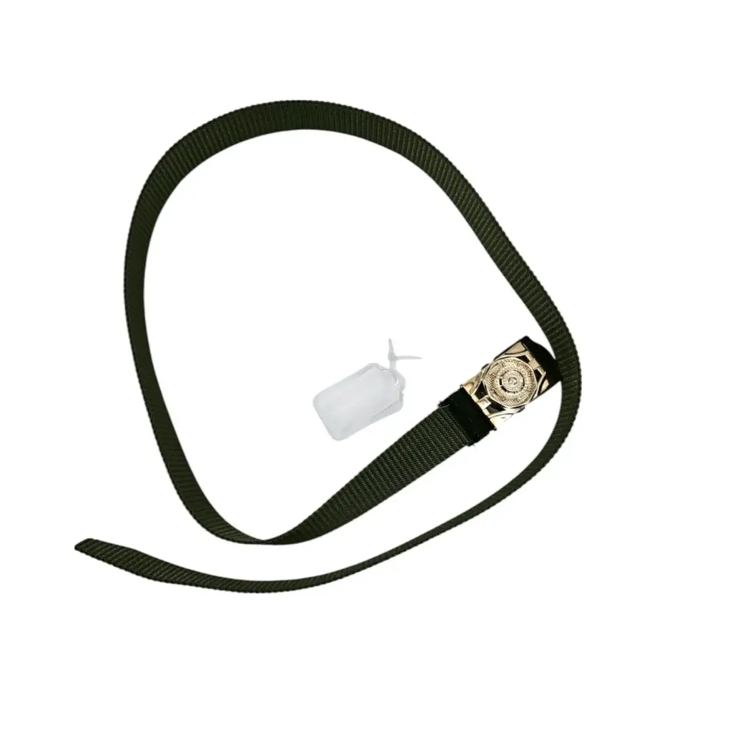 [IX2503801] Embroidered Casual Small Ring Belt Kids Boys (Golden)