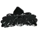 Black Hair Crab Medium Flower Shape