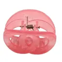 Pastel Colors Oval Shape Hair Crabs Small