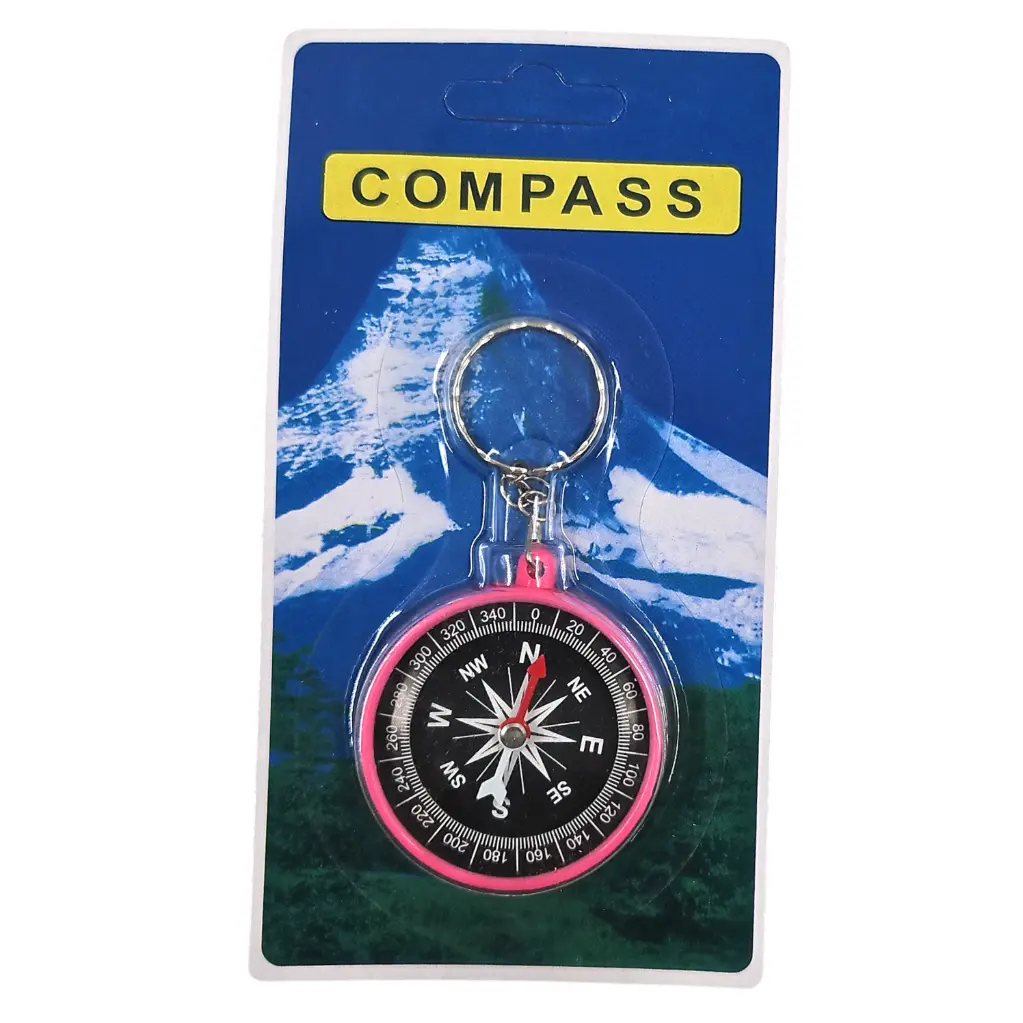 Metallic Compass Keychain  