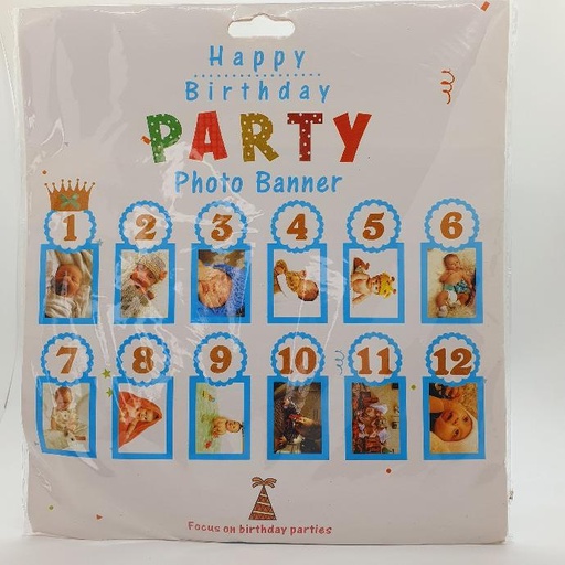 Party Photo Banner 1-12 Months 