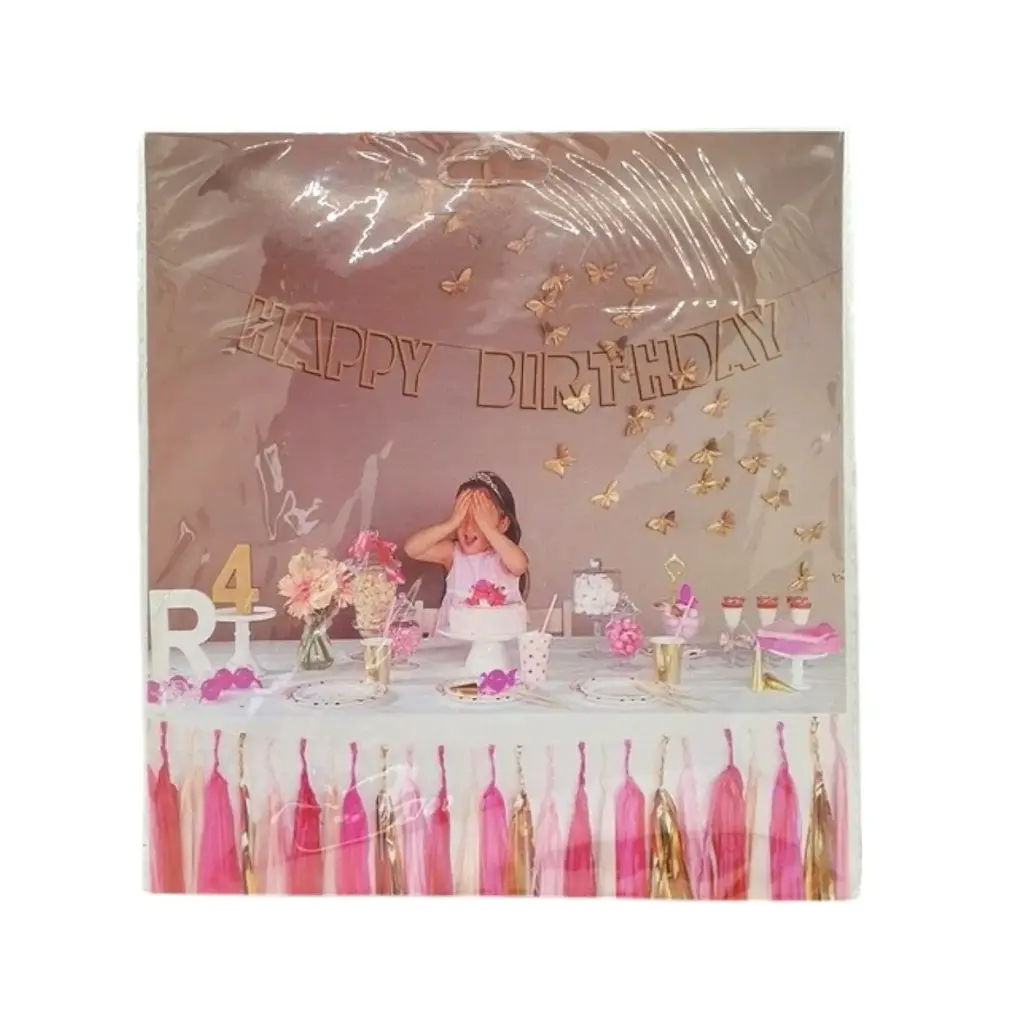 [IX000089] Birthday Banner Frame 