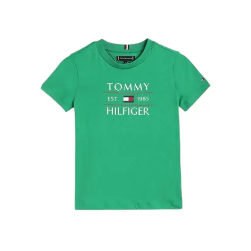 [IX2404060] Big Zone Tommy Hilfiger Boys T Shirt Size 7