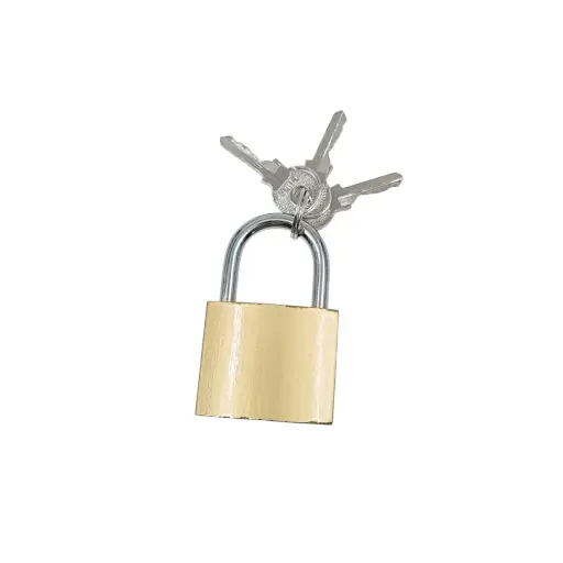 [IX2405443] Meibao Imitation Copper Lock 38mm